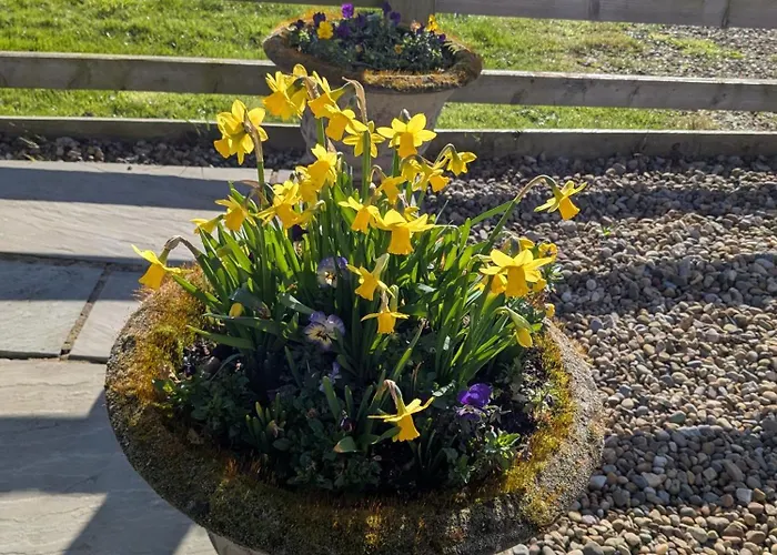 Rosegarth Bed And Breakfast